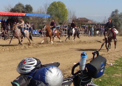  Rahvan at yarışları(ödemiş)