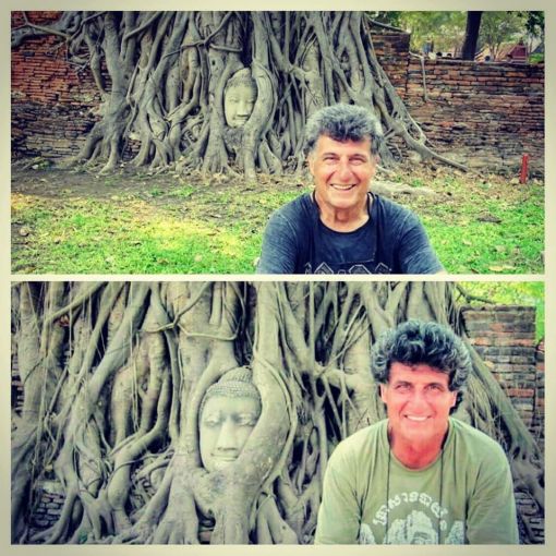  Ağaç Budha,  Ayutthaya, Thailand