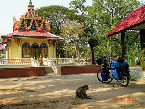  Maymunlar Tapınağı, Thailand