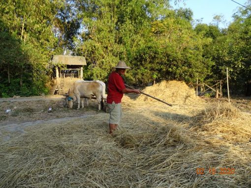  Kratie,Kamboçya