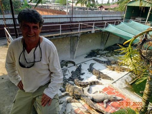  Crocodile Farm,Battaman,Cambodia