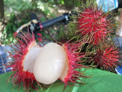  Rambutan Meyvesi,Malezya