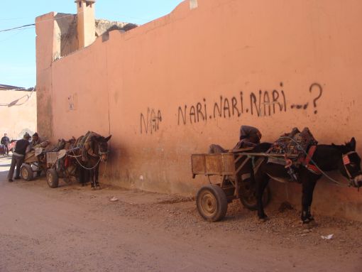  Medina Varoşları,Marakeş,Fas