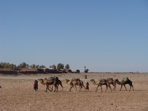  Aït Ben Haddou,Fas