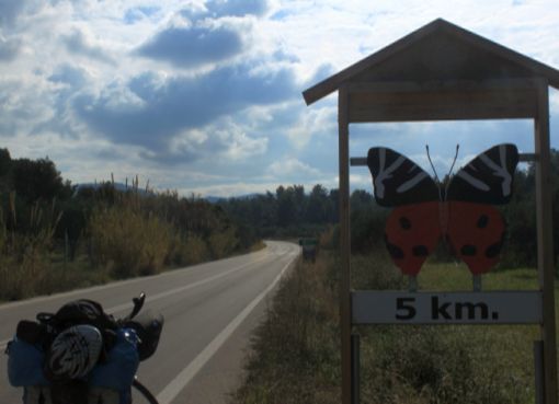  Valley of The Butterfly,Rodos (Kelebekler Vadisi,Rodos) 